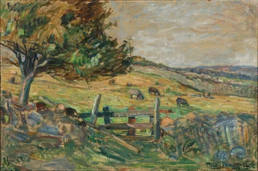 Landschaft mit grasenden Schafen